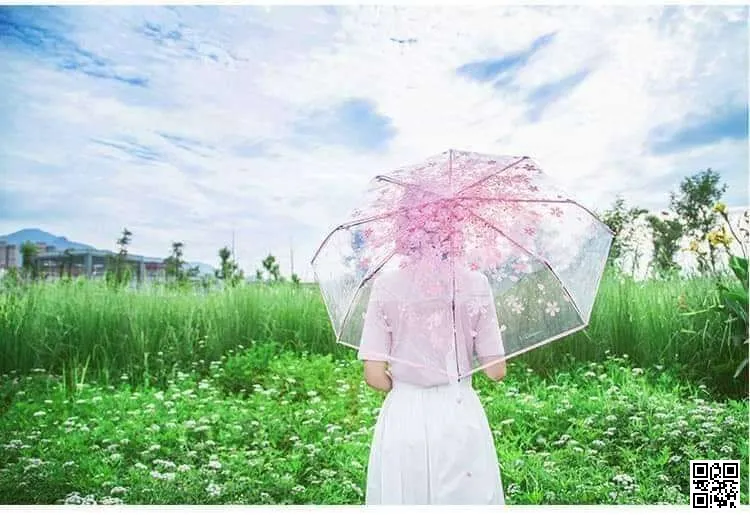 Transparent Umbrella 3