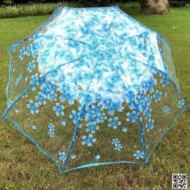 Transparent Umbrella 2