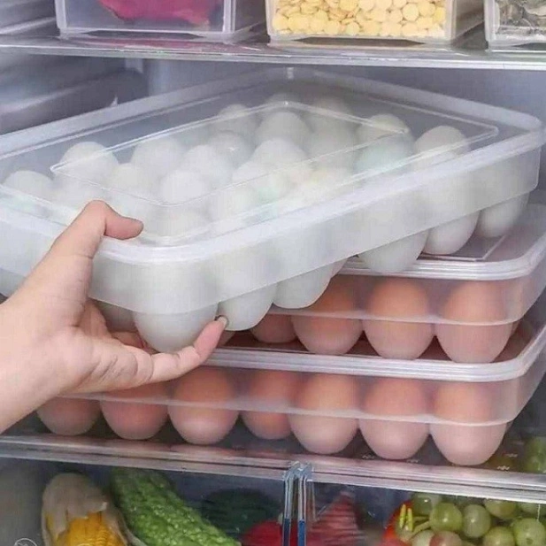 Egg Storage Box 24 Grids Plastic 3