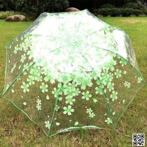 Transparent Umbrella 5