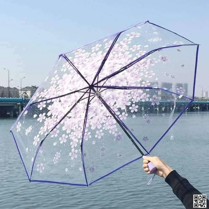 Transparent Umbrella 4