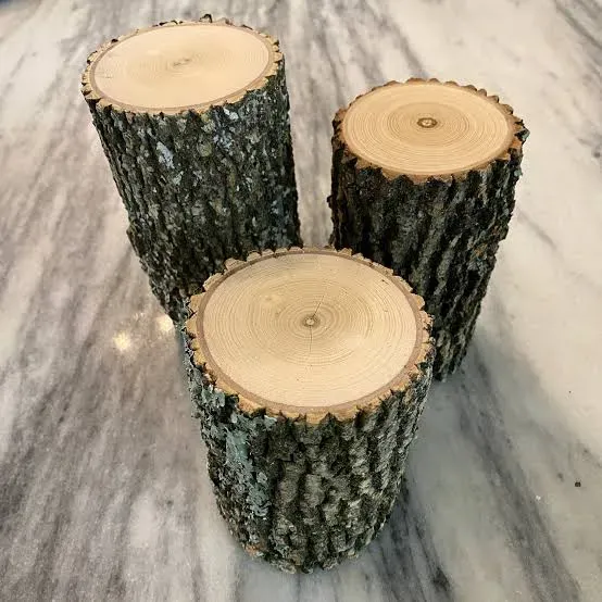 Live Edge Outdoor Sitting Log (12"/12") 3