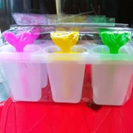 Ice Cream Mold (Oval) Ice Cream Lolly Mold for home use - 6 pcs
